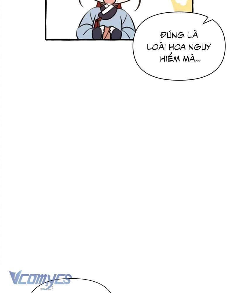 chuyện tình hoa lưu ly chapter 4 97