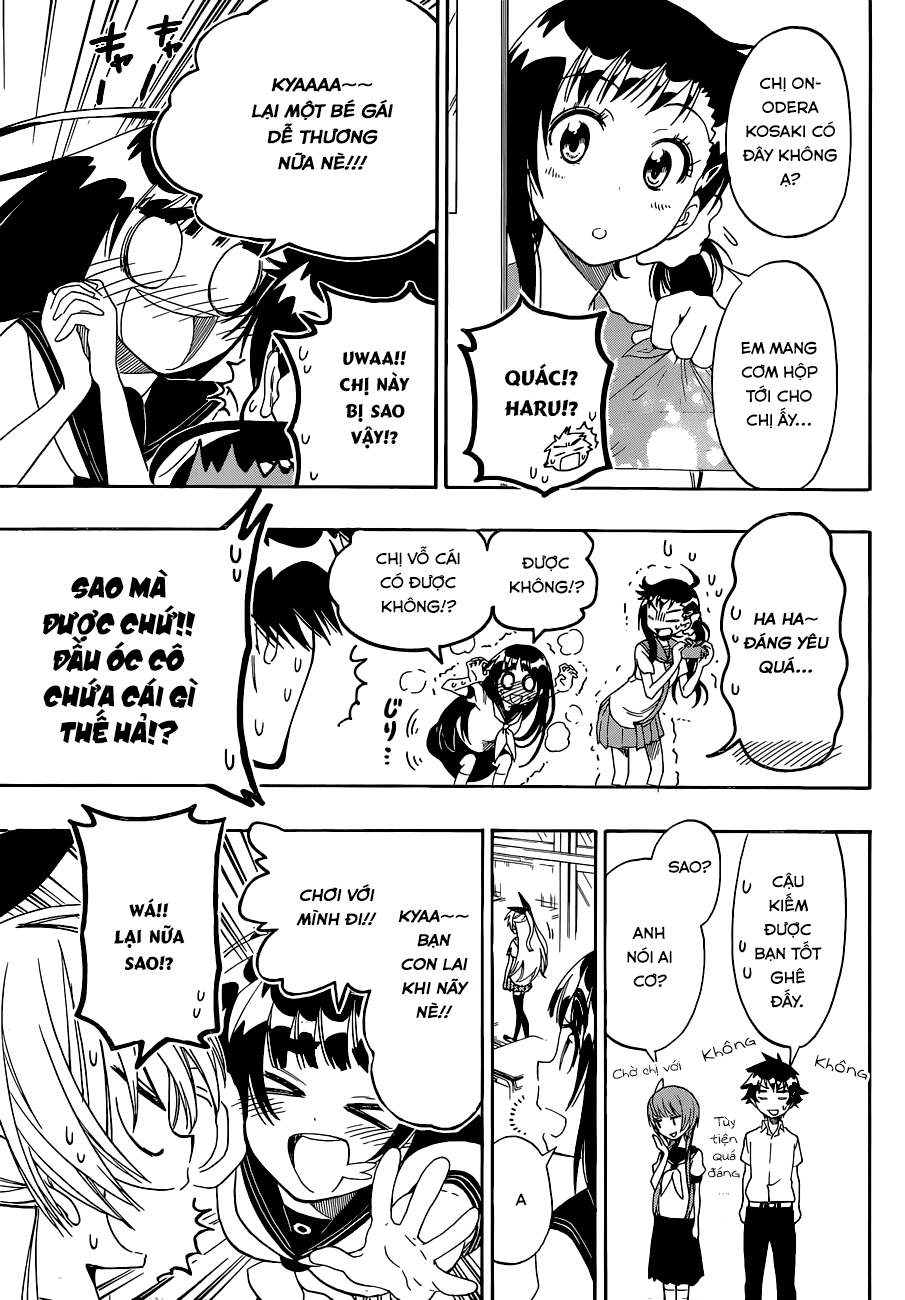 nisekoi - tình yêu giả tạo chapter 96 8