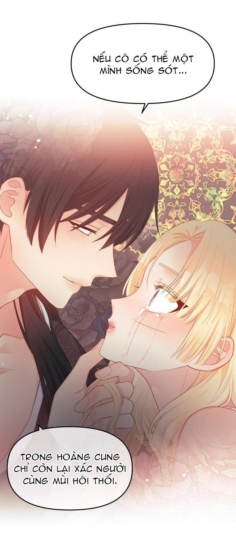 đừng đặt tình cảm mình vào cuốn sách đó chapter 12 23