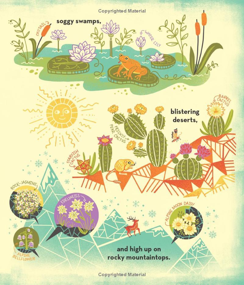 Sách ngoại văn: What's Inside A Flower?