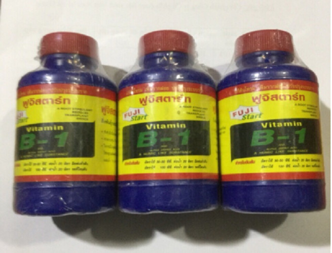 PHÂN BÓN LÁ VITAMIN B1