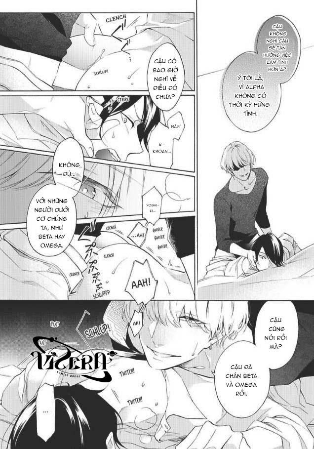 bạn đời giả dối chapter 1 26