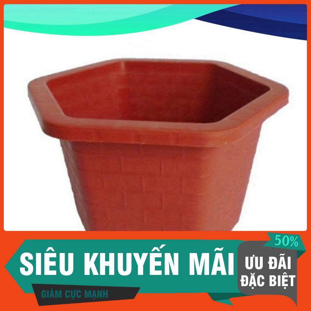 5 Chậu nhựa lục giác trồng cây, hoa hồng