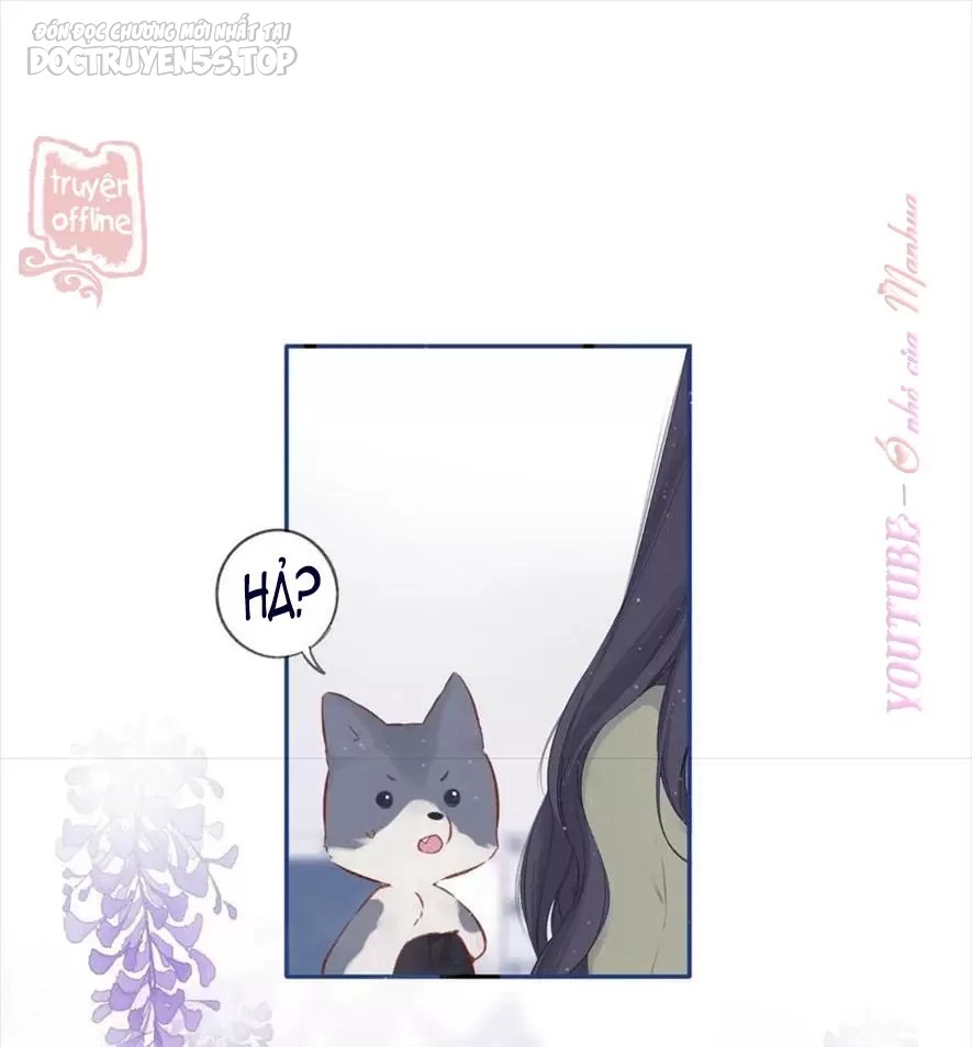 bảo vệ siêu sao của tôi chapter 148 33