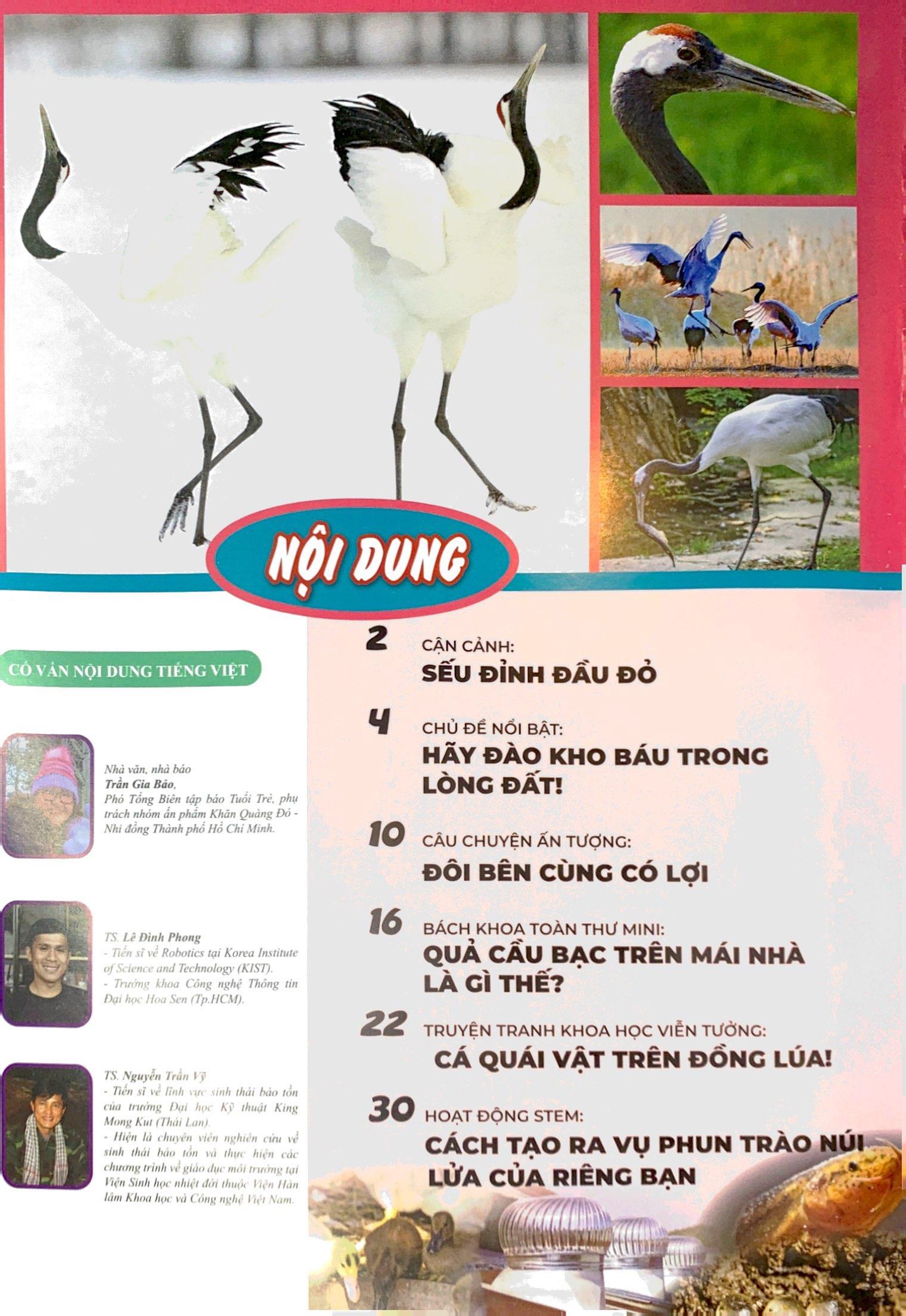 The Young Scientist - Truyện Tranh Khoa Học Cho Trẻ Em - Level 3 - Tập 3: Cá Quái Vật Trên Đồng Lúa