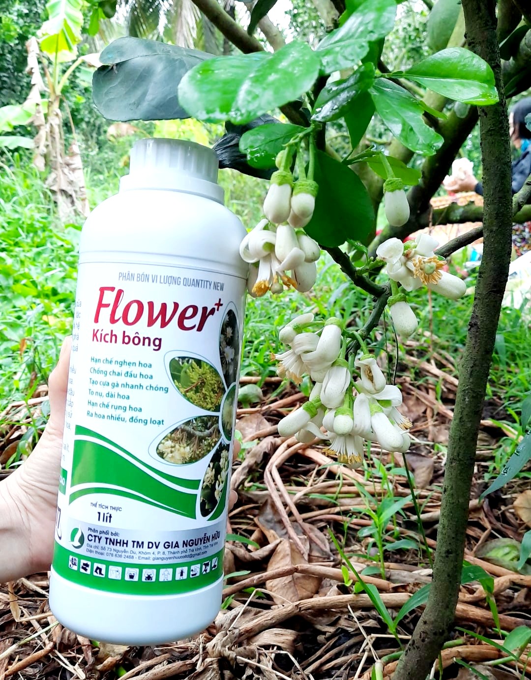 PHÂN BÓN LÁ FLOWER THÚC RA HOA 1 LÍT - KÍCH RA HOA ĐỒNG LOẠT, CHỐNG NGHẸN HOA