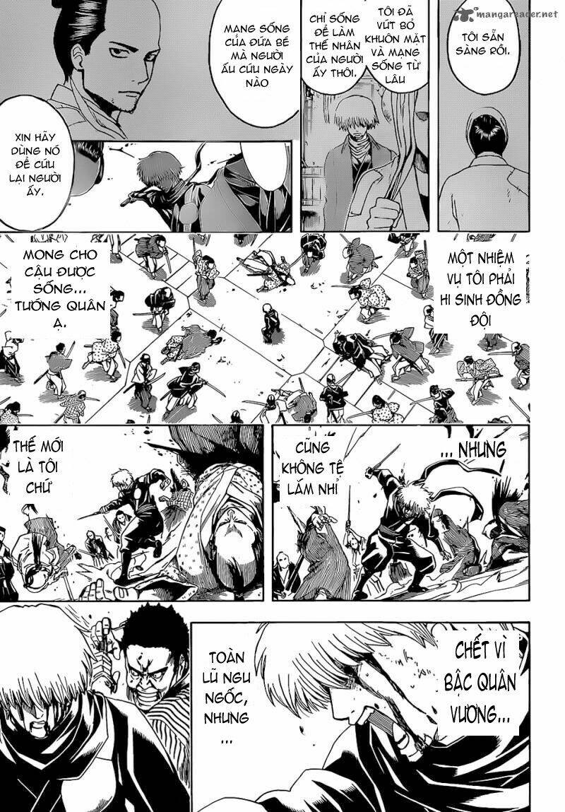 gintama - linh hồn bạc chapter 509 18