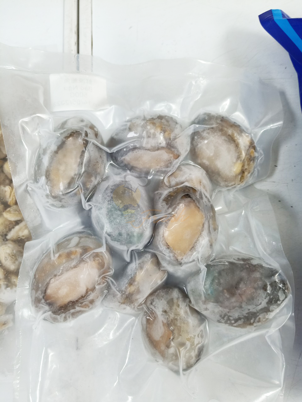 BÀO NGƯ