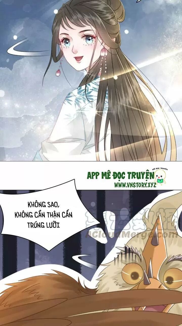 cực phẩm phế vật tiểu thư chapter 108 5