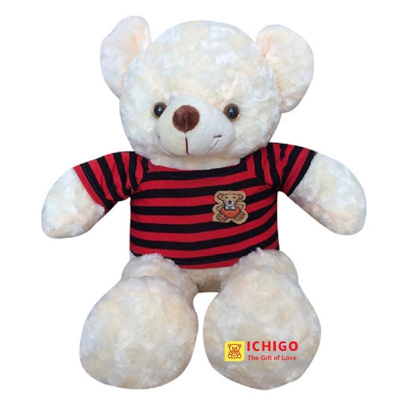 GẤU BÔNG TEDDY Size 50Cm ĐẢM BẢO 100% GÒN màu kem