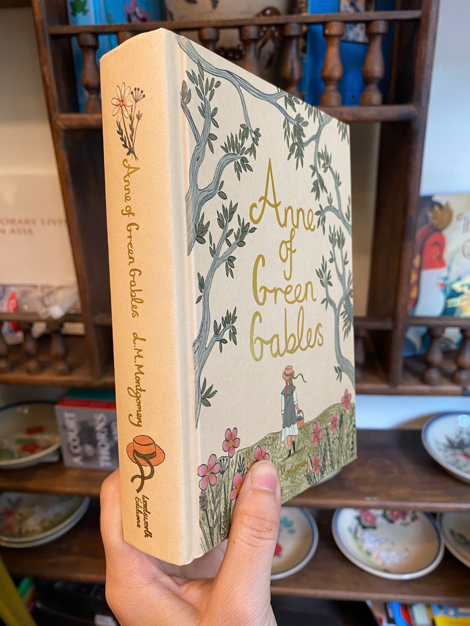 Sách - Anne of Green Gables (Wordsworth Editions) by L.M. Montgomery | Children's Fiction - Bìa cứng