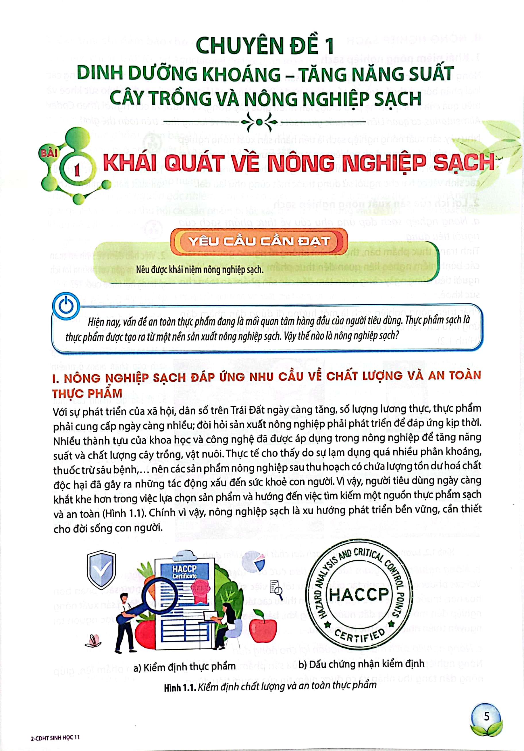 Chuyên Đề Học Tập Sinh Học 11 (Chân Trời Sáng Tạo) (2023)