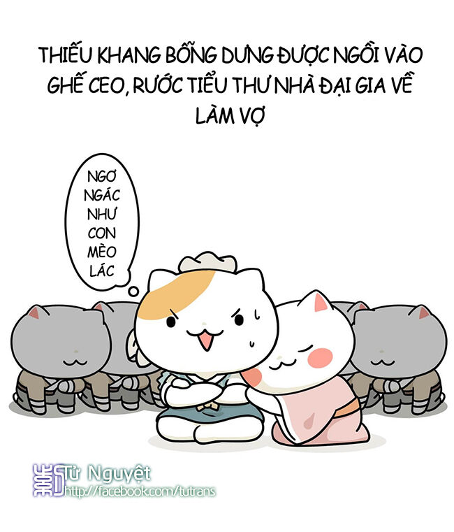 nếu lịch sử là một bầy mèo chapter 6 40