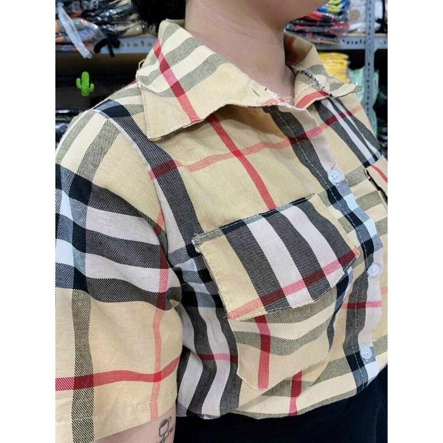 Áo somi nữ tay ngắn sọc Caro BBR