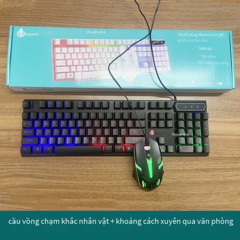 Phong cách mới nhất của máy tính bàn phím có dây dạ quang văn phòng tại nhà đèn nền bàn phím chuột usb cài đặt và giao hàng