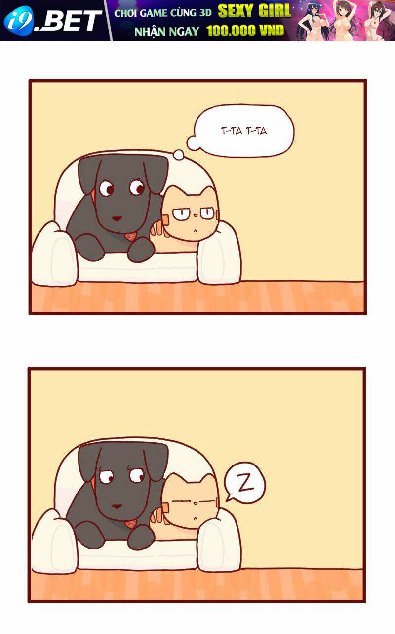 saphie: chú mèo một mắt chapter 15 5