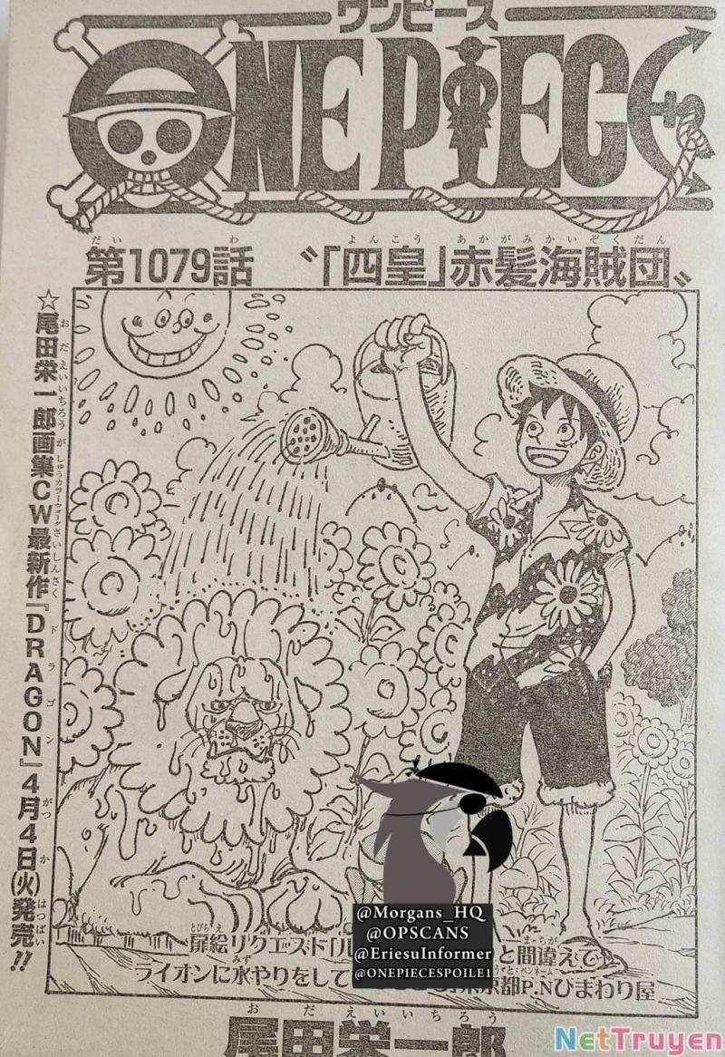 đảo hải tặc - one piece chapter 1079 2
