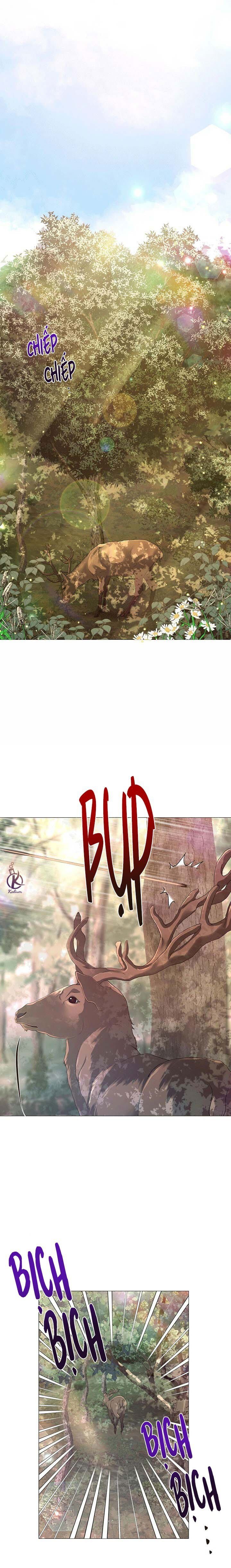 dạ xoa hoá diễn ký chapter 15 17