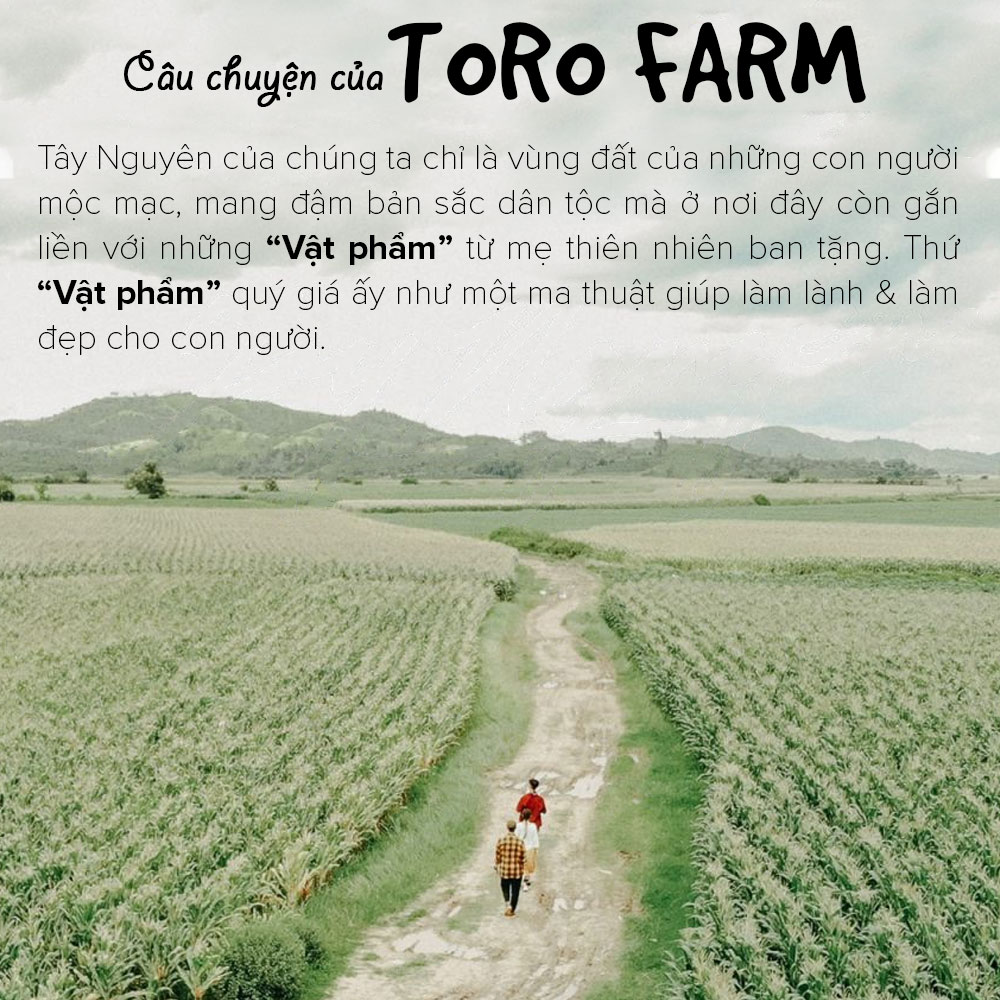 Bộ 2 Tinh Bột Nghệ Đỏ Toro Nguyên Chất 100% | 500GR/Hũ | TORO FARM