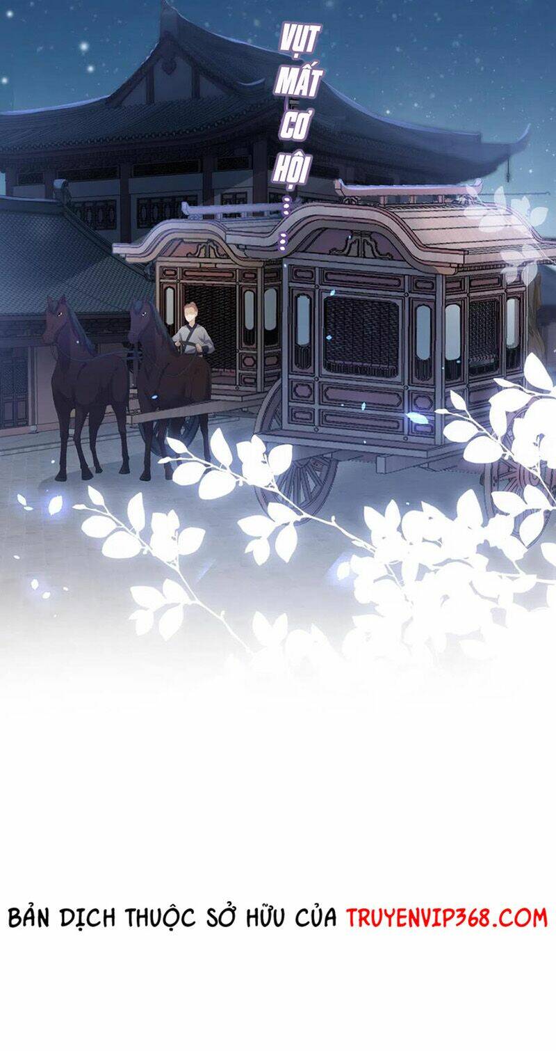 nhặt được bảo bối manh manh chapter 40 40