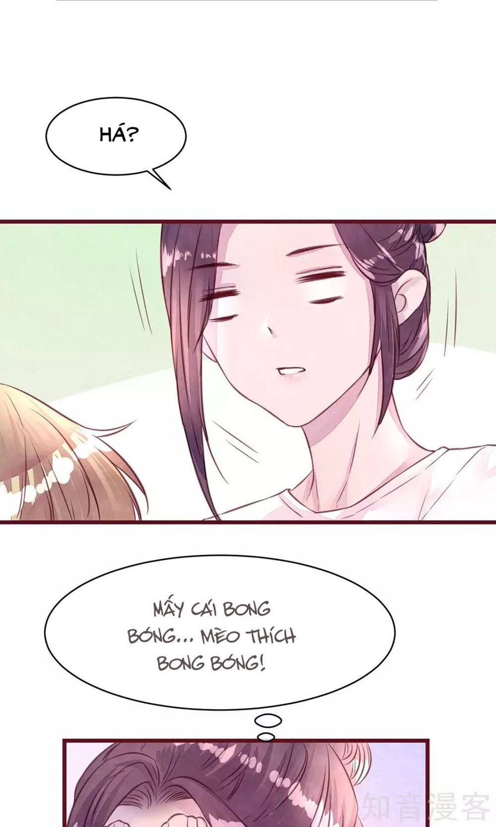 đào tạo nuôi dưỡng bạn trai mèo chapter 13 26