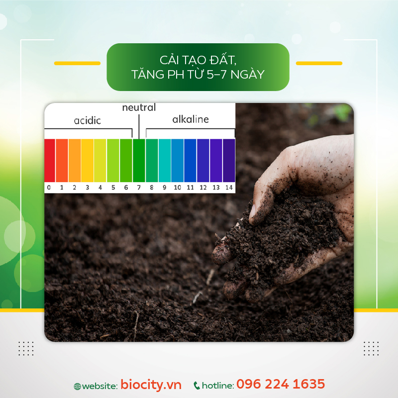 Phân thuốc sinh học phục hồi đất nhiễm mặn, nâng pH đất - Fresh Soil 1 lit