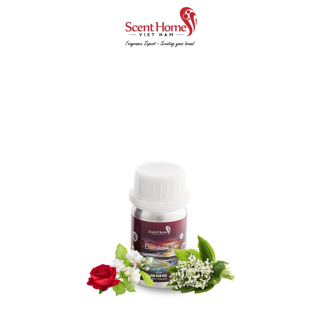 Tinh dầu Scent Homes - mùi hương