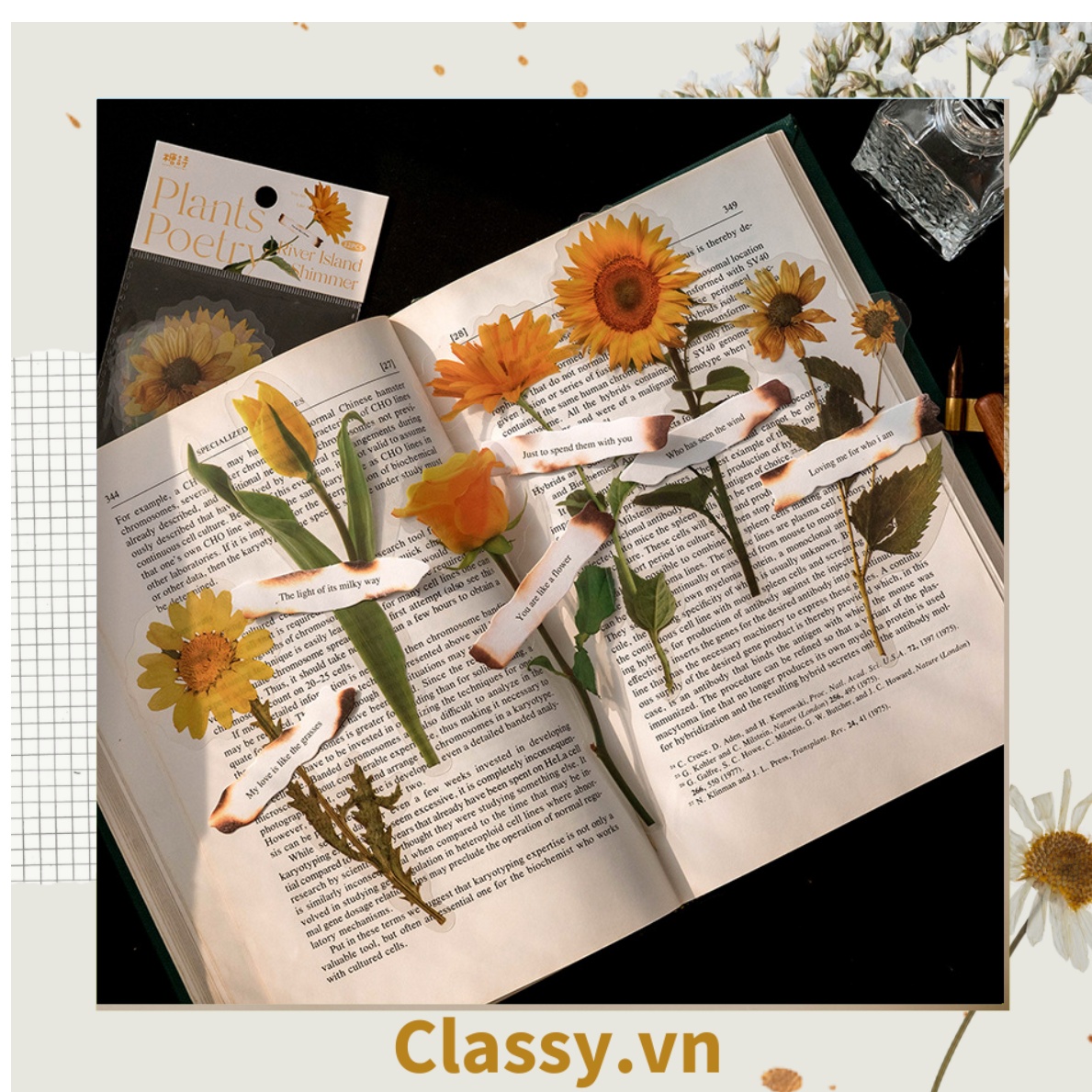 08 miếng Sticker Vintage hình hoa nhỉ thanh lịch PK1710