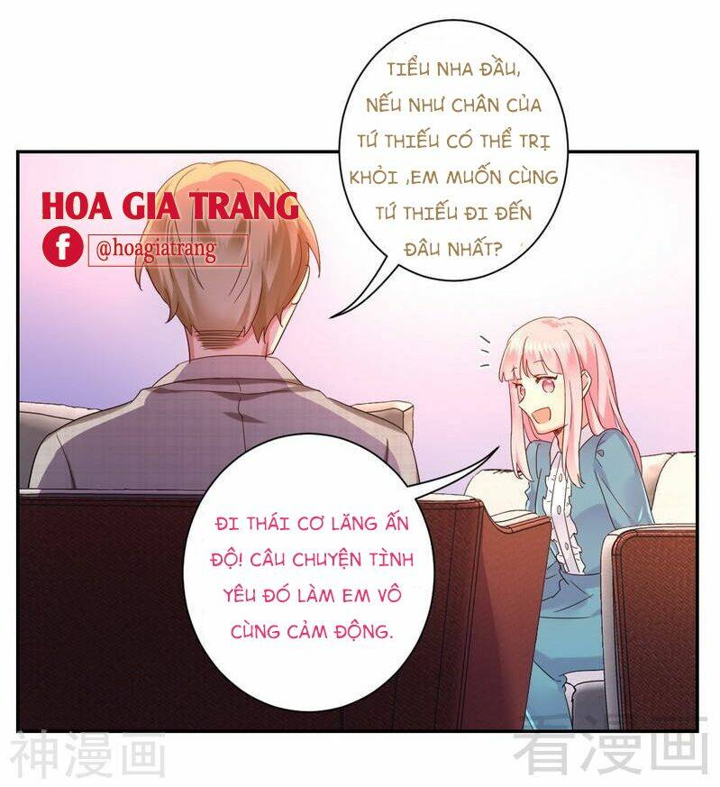 phục thù thiếu gia tiểu điềm thê chapter 65 24