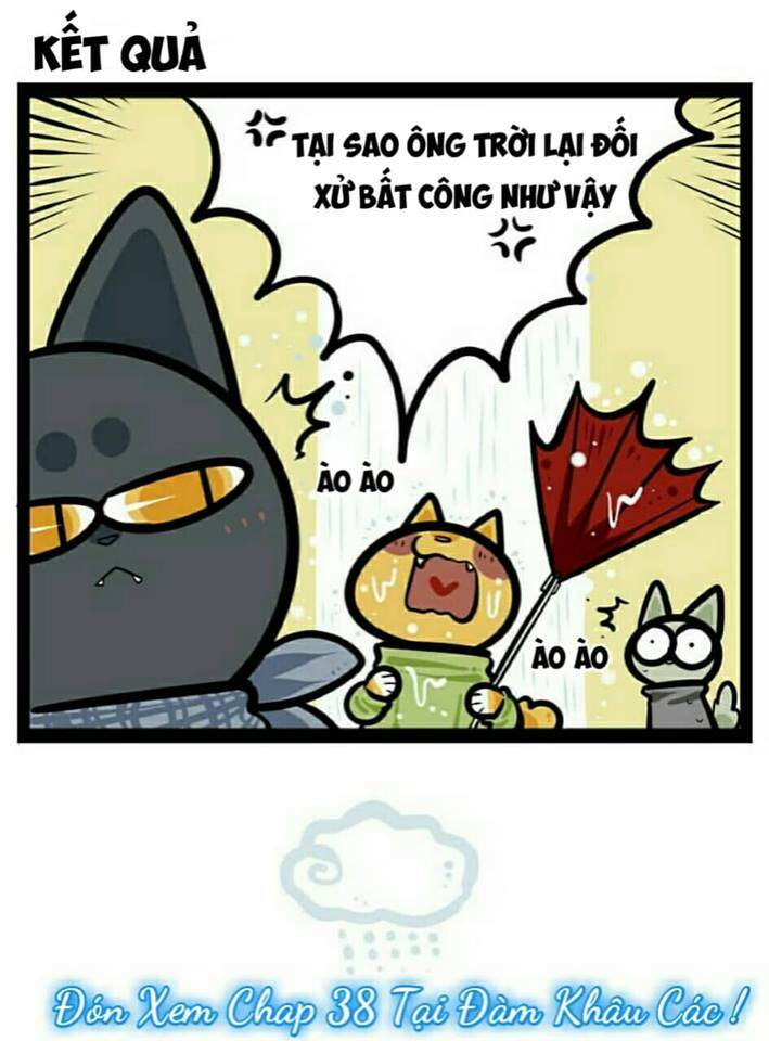 đời không như mình tưởng chapter 37 11