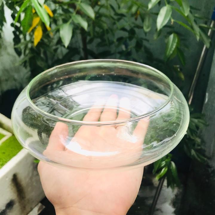 Bể cá mini, bể cá TRÒN THẤP