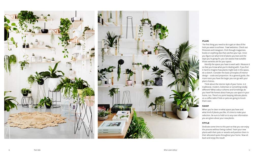 Plant Style: How To Greenify Your Space