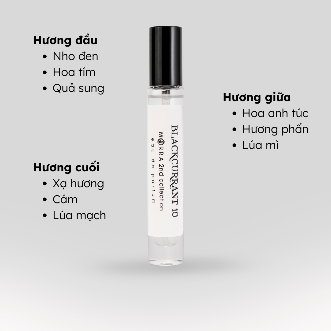 Nước Hoa Nam Nữ Morra Blackcurrant 10  Dung Tích 10ml Hương Trái Cây Cá Tính Tươi Mát Lưu Hương Lâu 6H - 8H