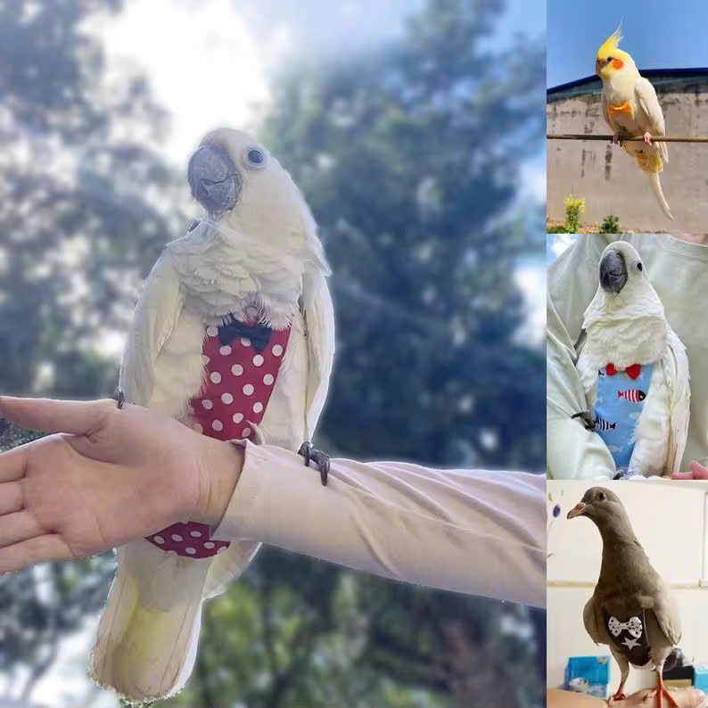 QUẦN ÁO TÃ CHO CHIM CẢNH DỄ THƯƠNG MÃ 1 XINH XẮN CHO THÚ CƯNG CHIM