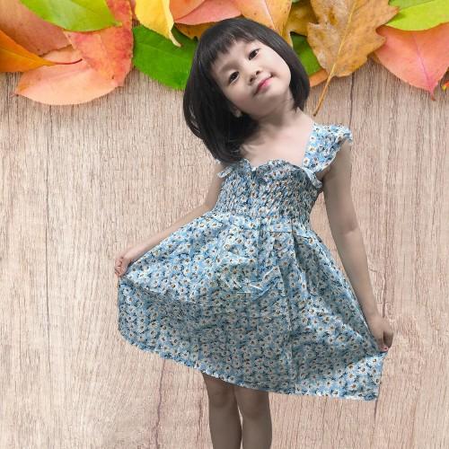 Váy đầm bé gái mùa hè kiểu tay con nhún bèo hoa nhí cho bé gái từ 12kg đến 28kg