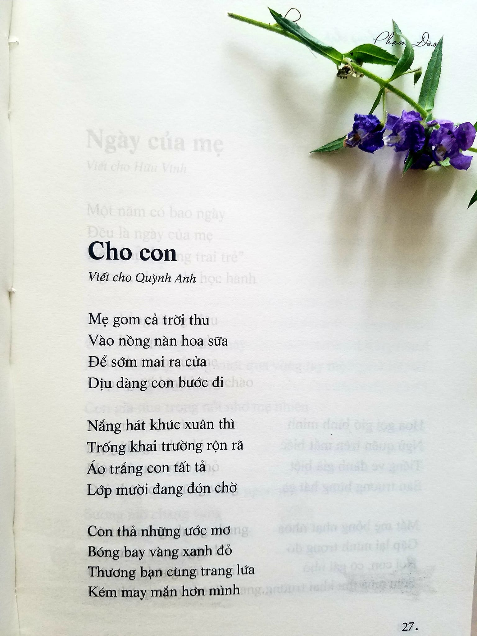 Mơ cùng tháng chạp