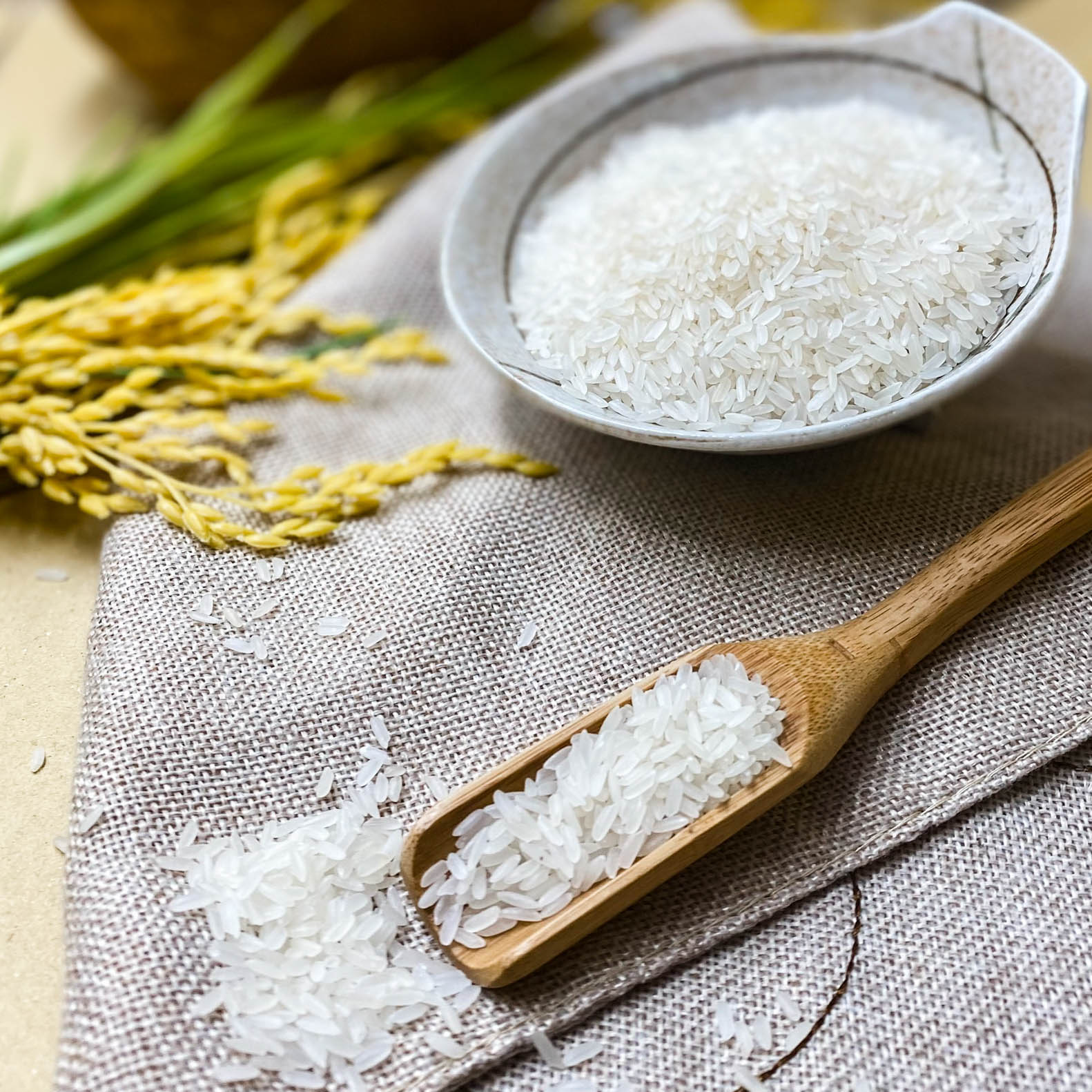 Gạo Hoa Lúa Xanh - Túi 5kg - Dẻo vừa, Mềm cơm, Thơm tự nhiên