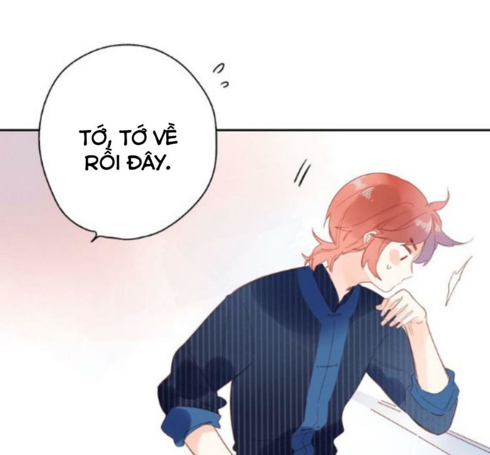 sos! tôi đã yêu một con sâu bướm (phần 2) chapter 56 64