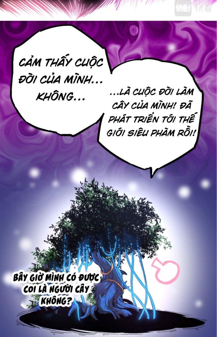 từ cây cổ thụ bắt đầu tiến hóa chapter 3 38