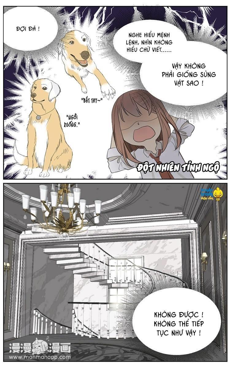 cứu mạng ! loài mèo thống trị thế giới rồi ! chapter 8 3