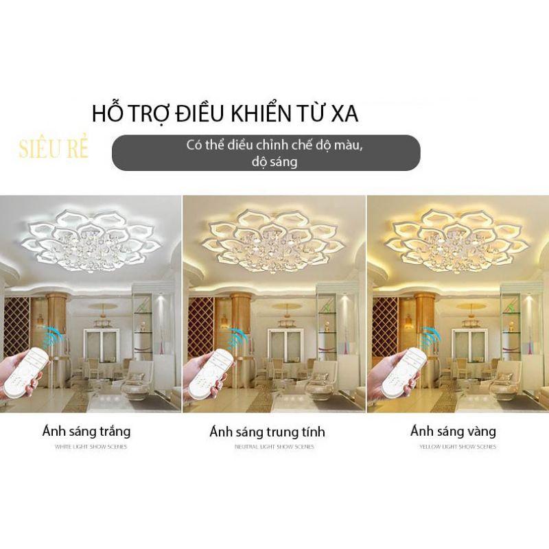 ĐÈN ỐP TRẦN HOA SEN HOA MAI 16-20 CÁNH