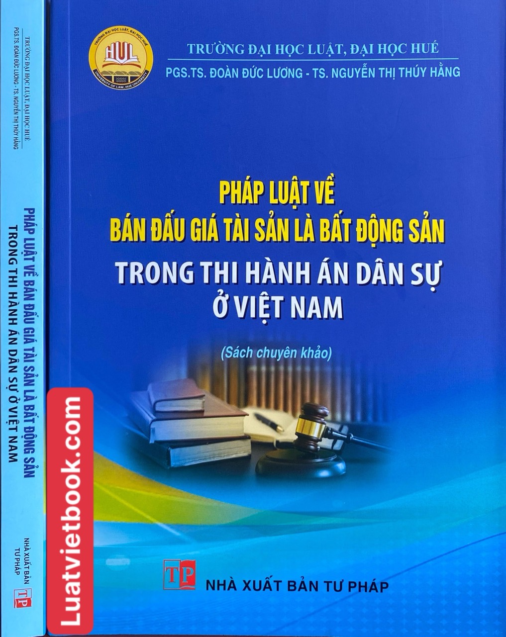 Pháp Luật Về Bán Đấu Giá Tài Sản Là Bất Động Sản Trong Thi Hành Án Dân Sự Ở Việt Nam