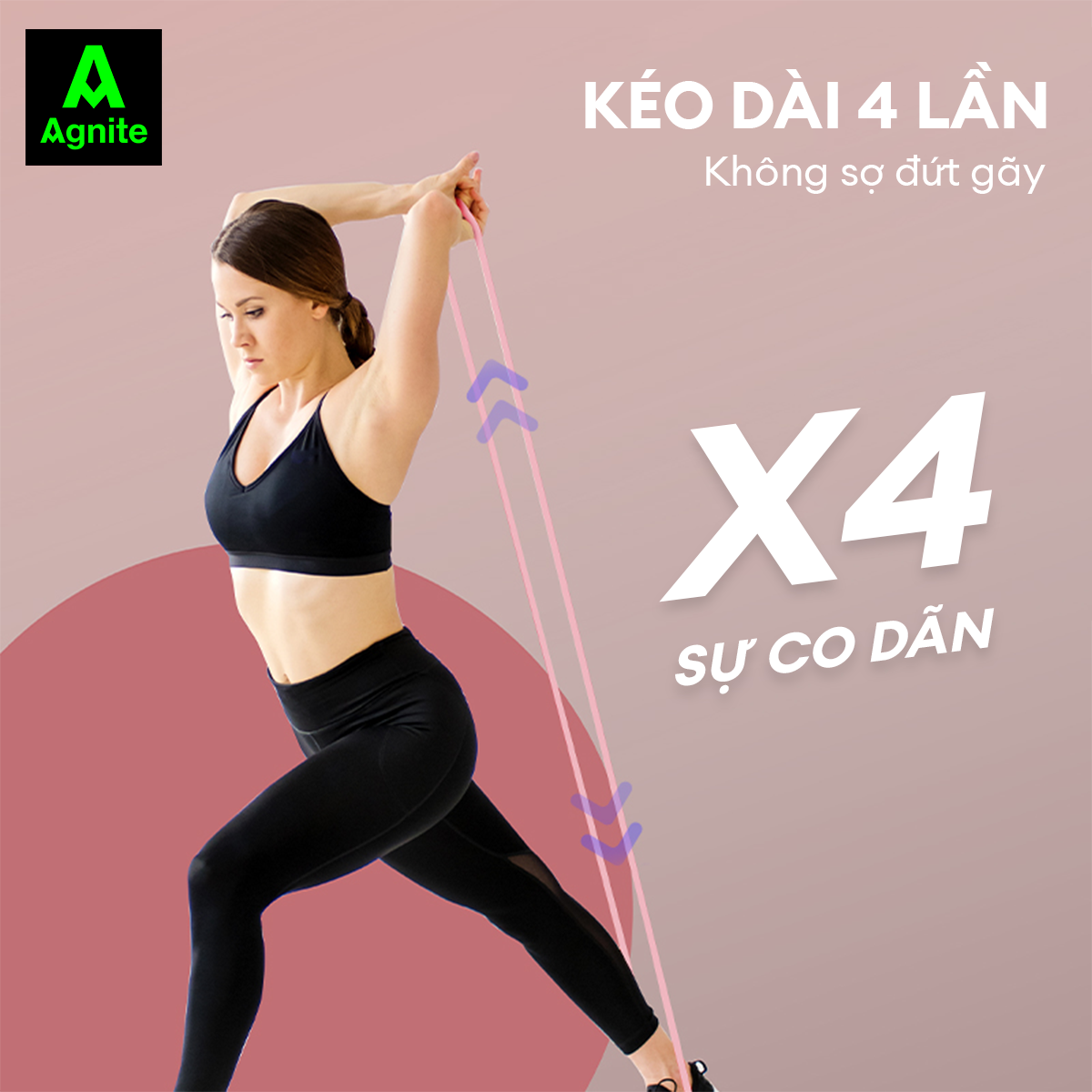 Dây kháng lực tập mông đùi chân và toàn thân Agnite chính hãng, dụng cụ hỗ trợ tập gym tại nhà - ER251-254