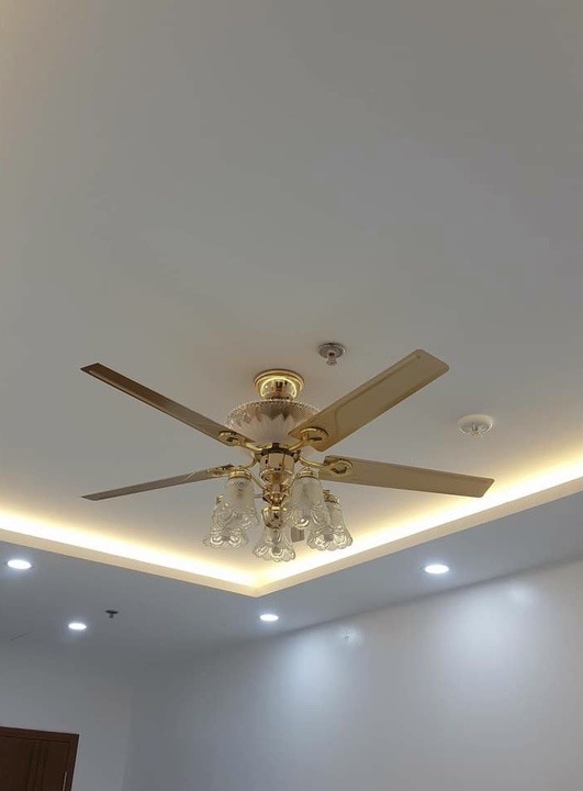 Quạt trần có đèn DQTTP-52-8012