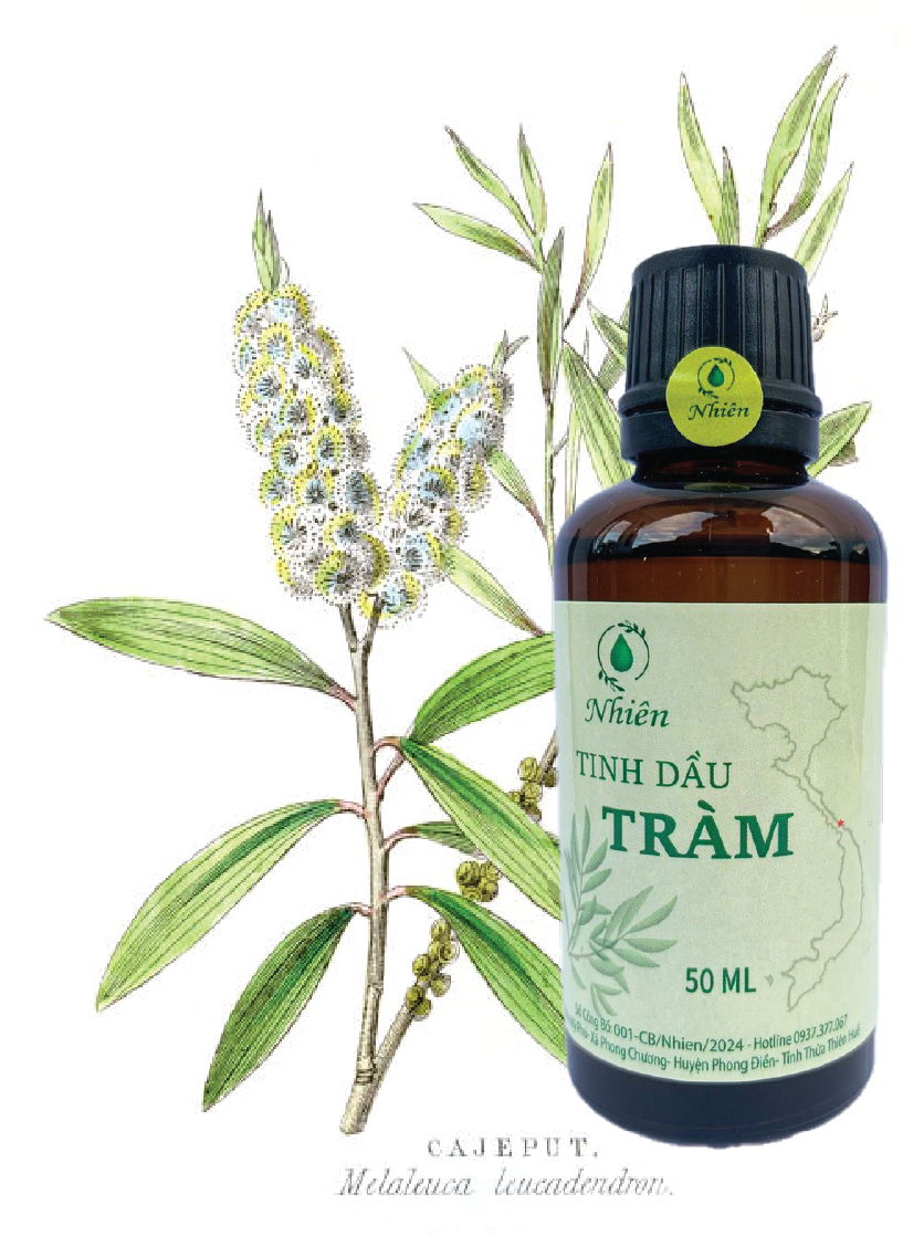 Tinh dầu tràm Nhiên 50ml Tinh dầu tràm Huế dùng cho trẻ sơ sinh