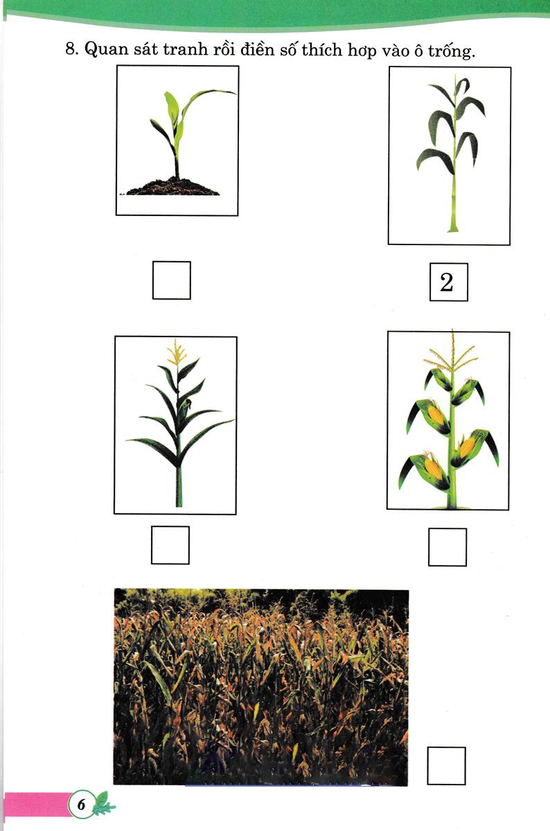 Bài Tập Phát Triển Tư Duy Sáng Tạo Môn Toán Lớp 1 (Biên Soạn Theo Chương Trình Sách Giáo Khoa Mới)