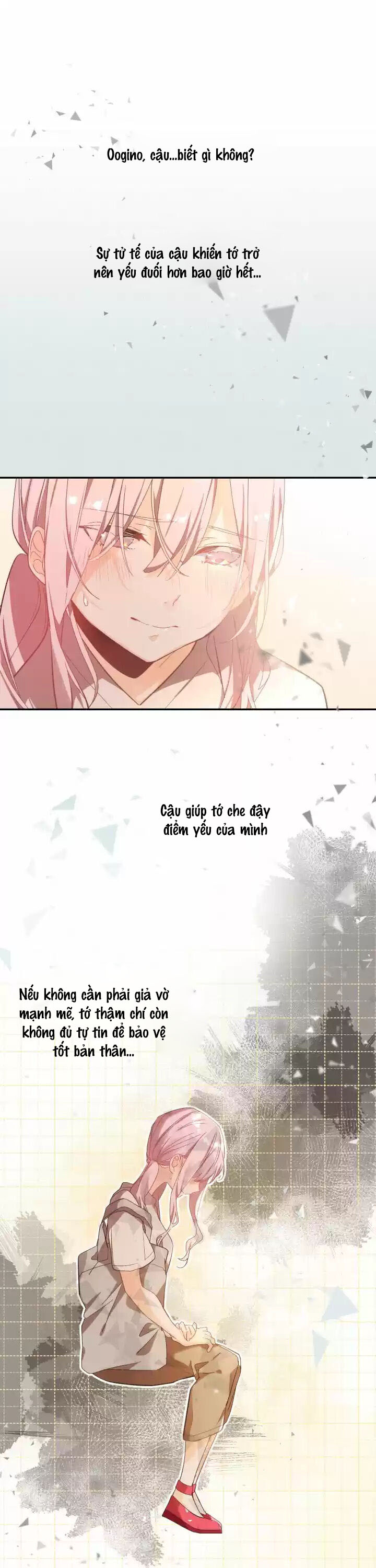 nụ hoa của newton chapter 19 7