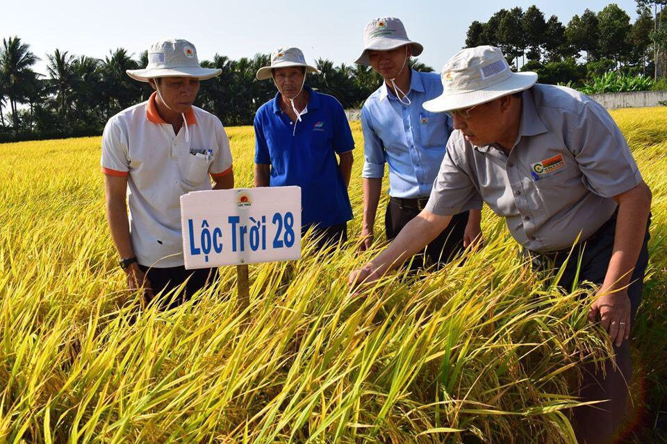 Đặc sản An Giang - Gạo Thơm Đặc Sản Thiên Vương Hạt Ngọc Trời Túi 5Kg - Đạt giải Gạo Ngon Nhất tại Hội Nghị Lúa Gạo Năm Châu 2018 - OCOP 4 Sao