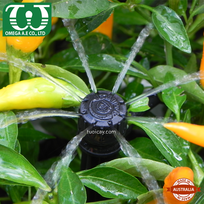 Bộ 25 cái béc tưới cây Shrubbler MNPT