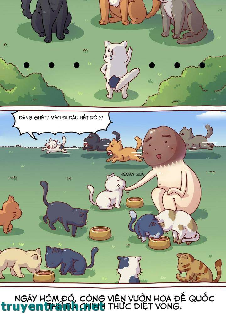 cây nấm kì khả chapter 8 10